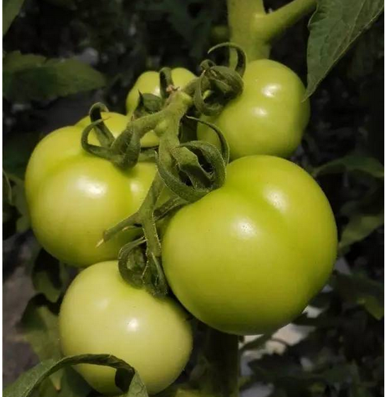 1467369431106408.png blob.png