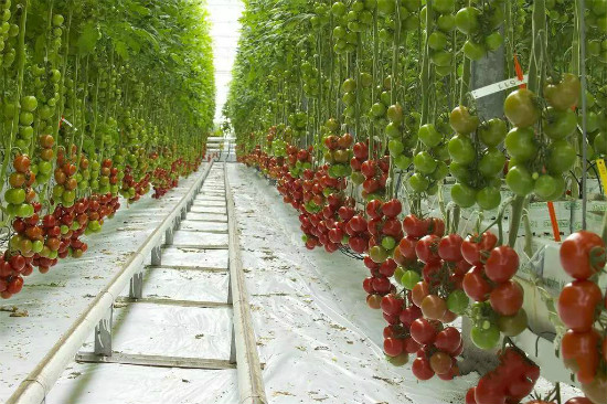 undefined 6_meitu_5.jpg