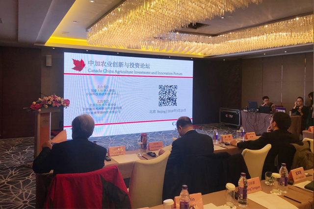 浙江田園綜合體規(guī)劃