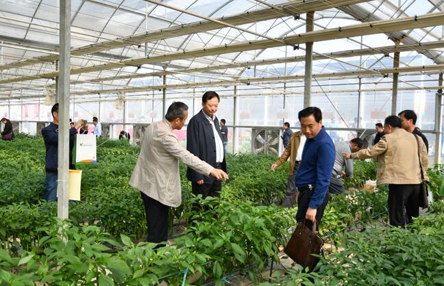 1525687577776551.jpg QQ截圖20180507180626.jpg