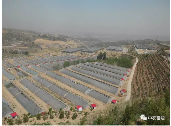 山西保德縣東關(guān)鎮(zhèn)繁莊塔高新農(nóng)業(yè)科技示范園(圖2) blob.png