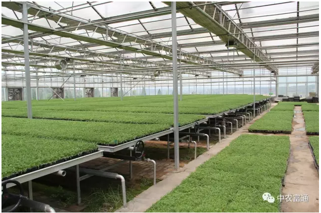 1489049195400884.png blob.png