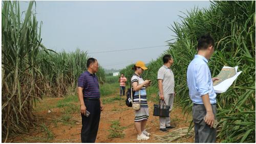 1537317771854439.jpg 12.jpg