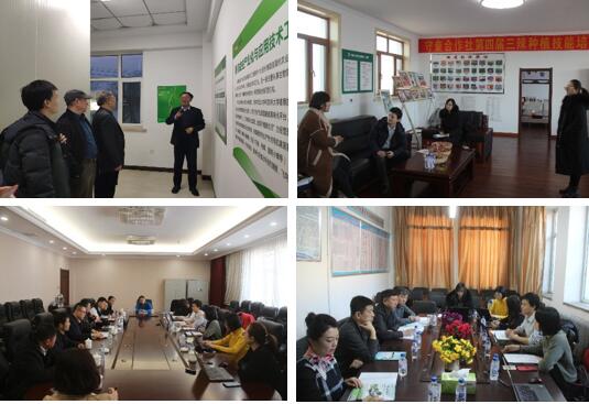 1552523919606920.jpg 35.jpg