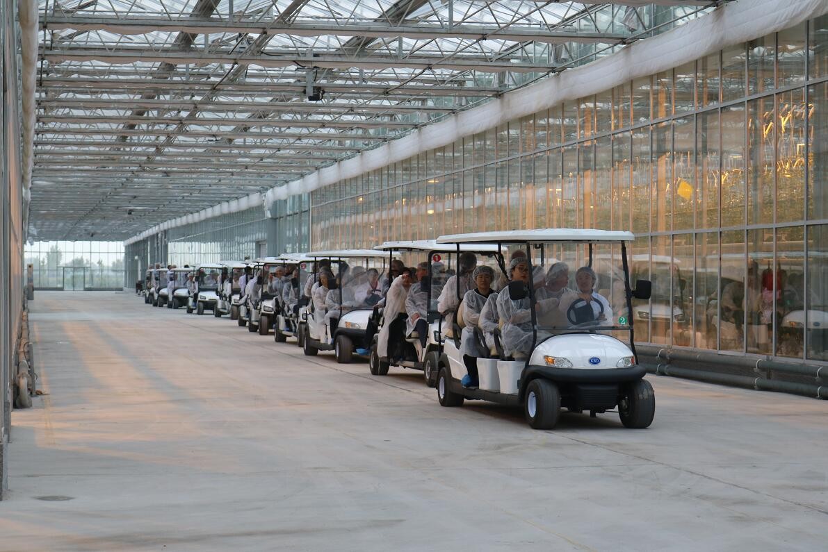 【邀請(qǐng)函】未來(lái)已來(lái) 中荷都市供給和綠色發(fā)展趨勢(shì)探秘(圖14) 【邀請(qǐng)函】未來(lái)已來(lái) 中荷都市供給和綠色發(fā)展趨勢(shì)探秘(圖14)