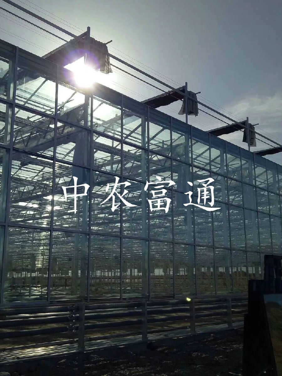 【邀請(qǐng)函】未來(lái)已來(lái) 中荷都市供給和綠色發(fā)展趨勢(shì)探秘(圖13) 【邀請(qǐng)函】未來(lái)已來(lái) 中荷都市供給和綠色發(fā)展趨勢(shì)探秘(圖13)