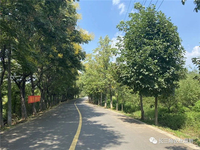 為了幫助園區(qū)的提檔升級(jí)，南京市農(nóng)業(yè)農(nóng)村局特委托中農(nóng)富通編制《南京市農(nóng)業(yè)園區(qū)發(fā)展研究報(bào)告》，以期從產(chǎn)業(yè)發(fā)展路徑、園區(qū)發(fā)展模式、保障措施等多維度為南京市農(nóng)業(yè)園區(qū)未來(lái)三年的發(fā)展做統(tǒng)籌謀劃。 8月19日，中農(nóng)(圖8)