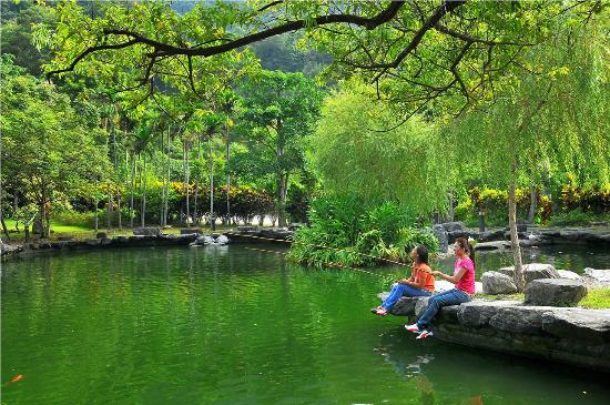 undefined caption.jpg