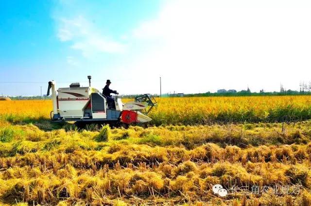 undefined 640 (6).jpg