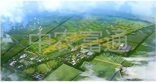 安徽省毫州市渦陽縣糧食產(chǎn)業(yè)現(xiàn)代農(nóng)業(yè)示范區(qū)總體規(guī)劃(圖1) 1、安徽省亳州市渦陽縣糧食產(chǎn)業(yè)現(xiàn)代農(nóng)業(yè)示范區(qū)總體規(guī)劃(2011-2015年)_副本.jpg