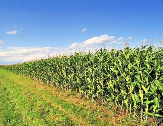 undefined weixintupian_20170519162959.jpg