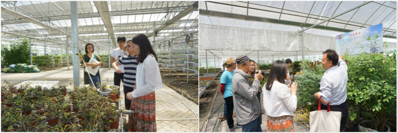 黃埭農(nóng)業(yè)示范園 (22)_meitu_3.jpg