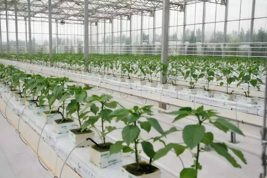 undefined 5_meitu_4.jpg