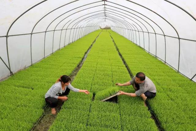 浙江田園綜合體規(guī)劃 浙江生態(tài)農(nóng)業(yè)規(guī)劃