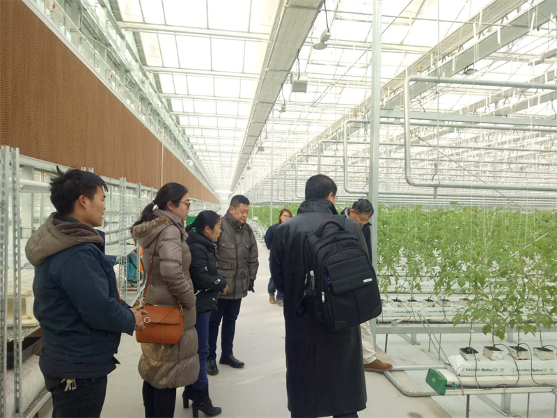 浙江鄉(xiāng)村旅游規(guī)劃 圖片1.png