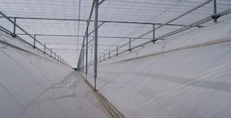 南和現(xiàn)代設(shè)施農(nóng)業(yè)產(chǎn)業(yè)集群(圖6) 7.jpg