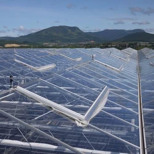 南和現(xiàn)代設(shè)施農(nóng)業(yè)產(chǎn)業(yè)集群(圖7) 南和現(xiàn)代設(shè)施農(nóng)業(yè)產(chǎn)業(yè)集群(圖7)