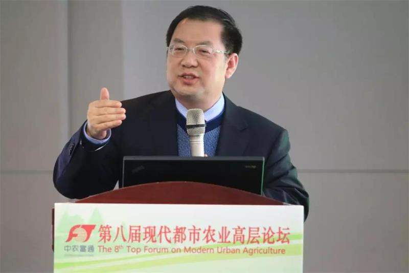 浙江田園綜合體規(guī)劃 6(1).jpg