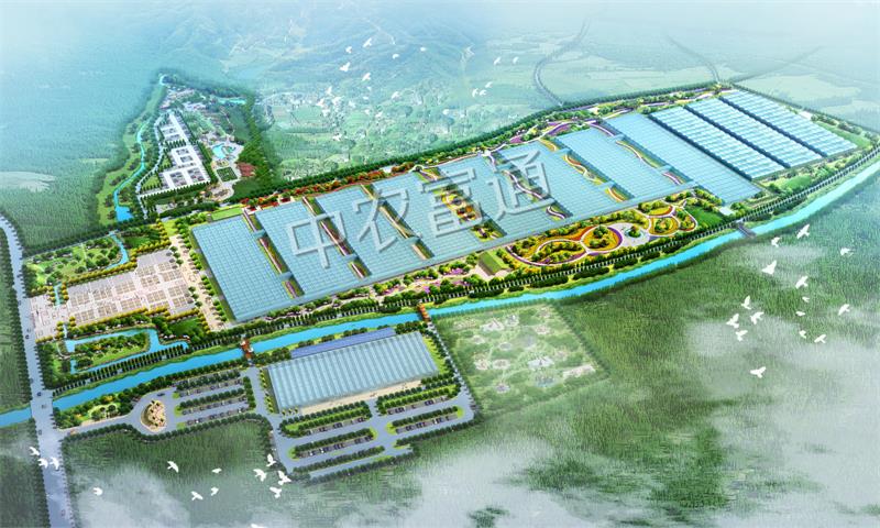 廣西玉林“五彩田園”農業(yè)嘉年華(圖1) 3廣西“五彩田園”現代特色農業(yè)示范區(qū)_meitu_1.jpg