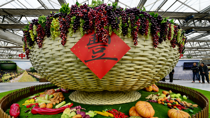 北京農(nóng)業(yè)嘉年華(圖7) 0138207209.jpg