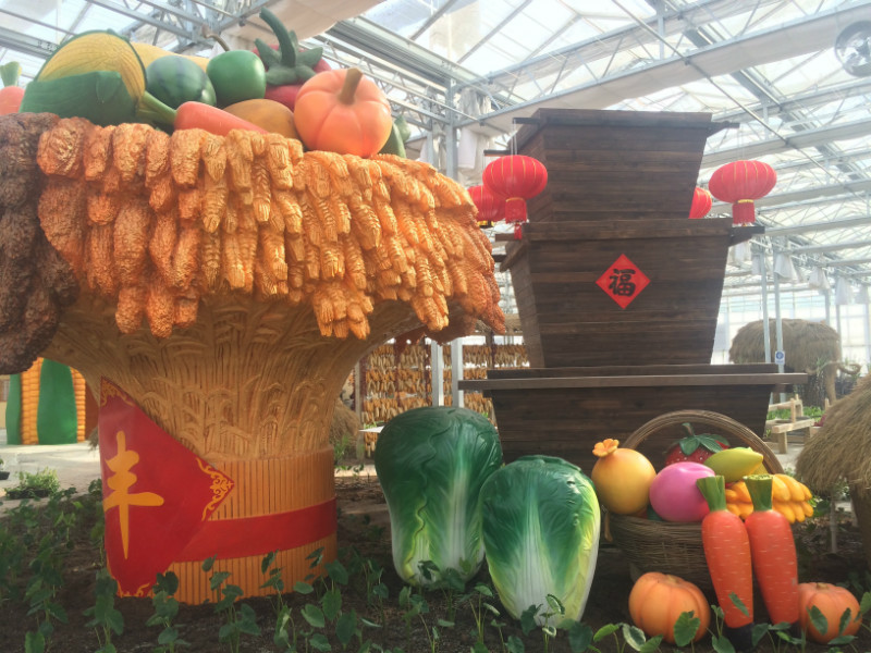 南和農(nóng)業(yè)嘉年華(圖2) 1jingguanzaoxing.jpg