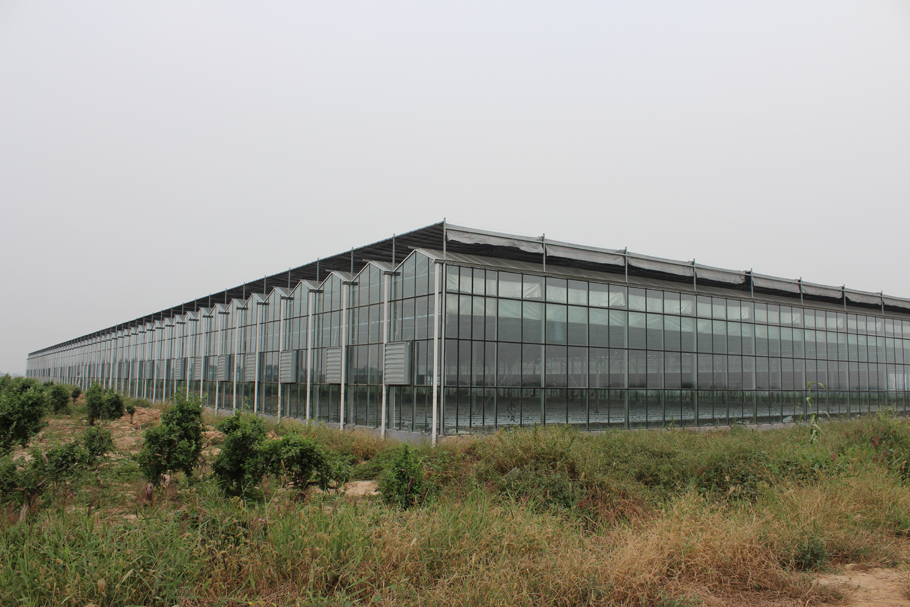 山東惠民現(xiàn)代農(nóng)業(yè)科技示范區(qū)(蔬菜工廠化高效栽培)(圖3) 山東惠民現(xiàn)代農(nóng)業(yè)科技示范區(qū)(蔬菜工廠化高效栽培)(圖3)