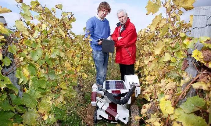 浙江田園綜合體規(guī)劃 微信圖片1.jpg