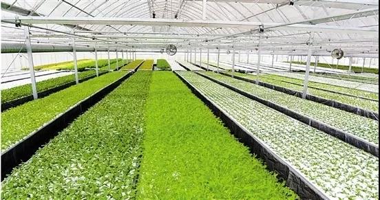 undefined 微信圖片_20181025161434.jpg