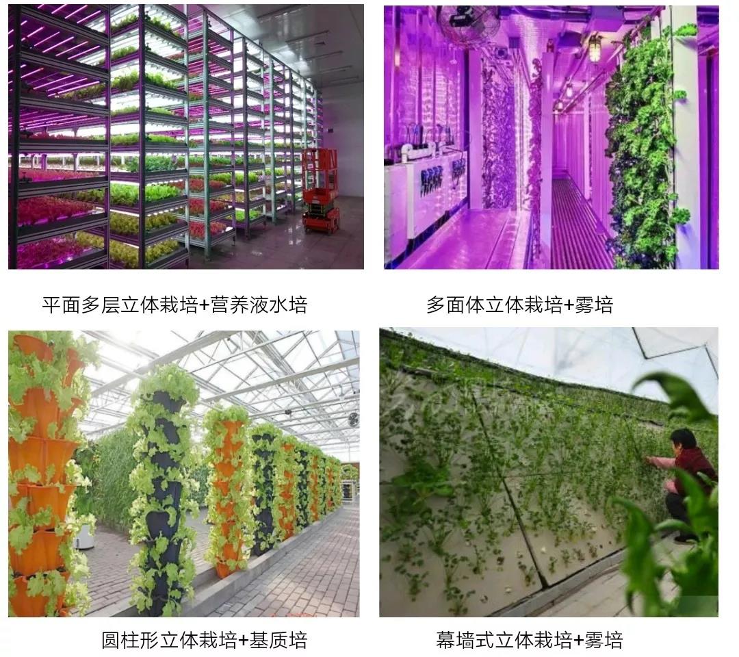 undefined 微信圖片_20181025161438.jpg