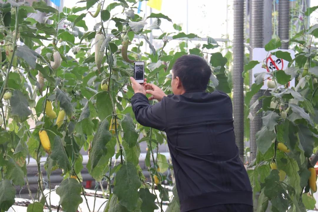 undefined 微信圖片_20181127113703.jpg