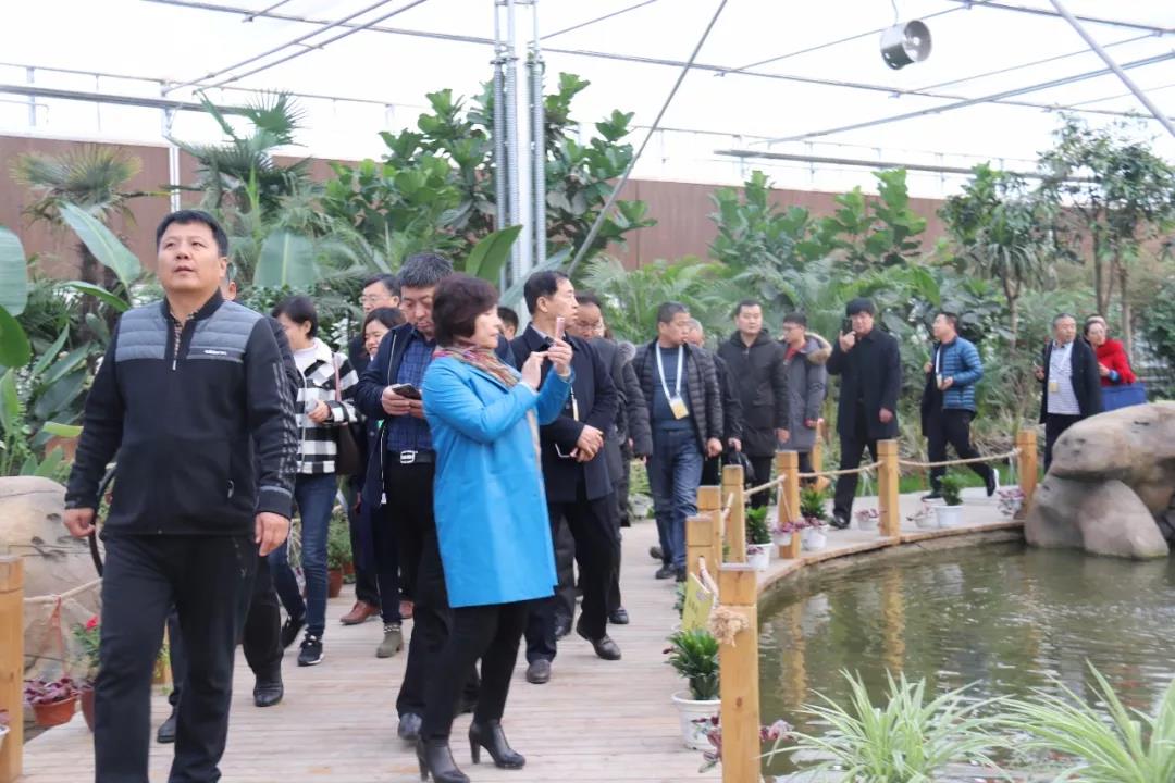 undefined 微信圖片_20181127113732.jpg