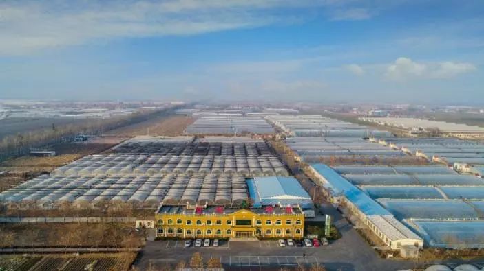 第九屆縣域會(huì)||2019鄉(xiāng)村振興優(yōu)秀案例圖文展成功舉辦（附優(yōu)秀案例）(圖13)