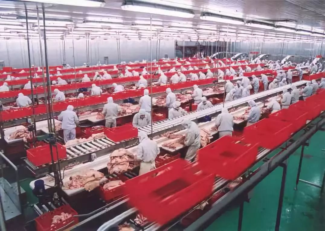 第九屆縣域會(huì)||2019鄉(xiāng)村振興優(yōu)秀案例圖文展成功舉辦（附優(yōu)秀案例）(圖18)