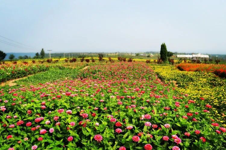 以河南甘山果香田園綜合體項(xiàng)目為例探索三產(chǎn)融合發(fā)展模式(圖4) 微信圖片_20200522095755.jpg