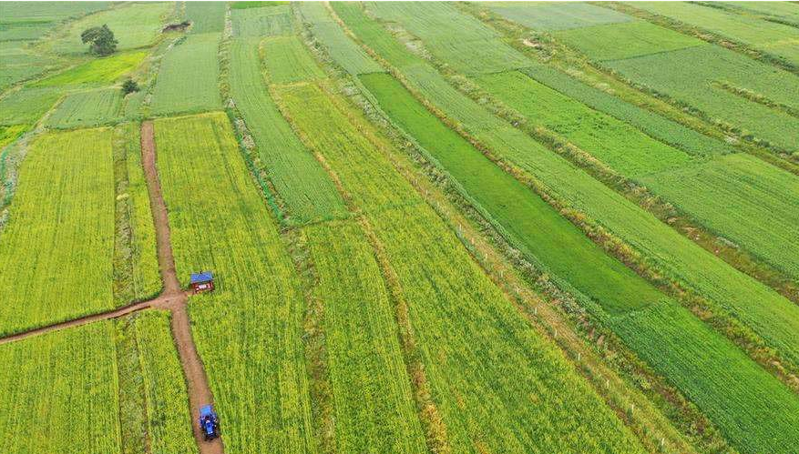 以河南甘山果香田園綜合體項(xiàng)目為例探索三產(chǎn)融合發(fā)展模式(圖1) 微信圖片_20200522095749.png