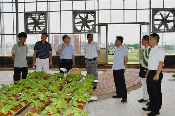 2020年第23周 || 中農(nóng)富通要聞一覽(圖15)