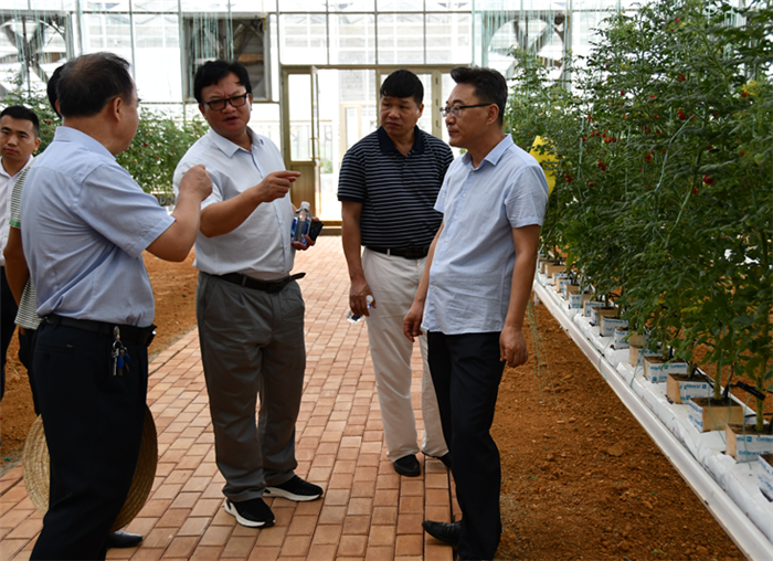 2020年第23周 || 中農(nóng)富通要聞一覽(圖17)