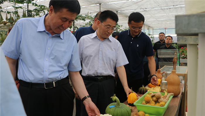 2020年第23周 || 中農(nóng)富通要聞一覽(圖36)