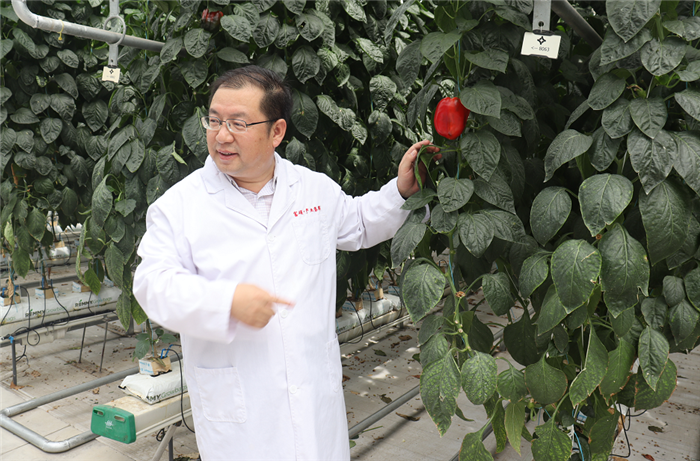 2020年第23周 || 中農(nóng)富通要聞一覽(圖45)