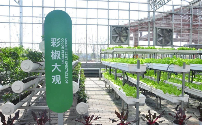 2020年第23周 || 中農(nóng)富通要聞一覽(圖57)