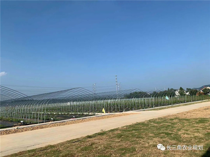 為了幫助園區(qū)的提檔升級(jí)，南京市農(nóng)業(yè)農(nóng)村局特委托中農(nóng)富通編制《南京市農(nóng)業(yè)園區(qū)發(fā)展研究報(bào)告》，以期從產(chǎn)業(yè)發(fā)展路徑、園區(qū)發(fā)展模式、保障措施等多維度為南京市農(nóng)業(yè)園區(qū)未來(lái)三年的發(fā)展做統(tǒng)籌謀劃。 8月19日，中農(nóng)(圖21)