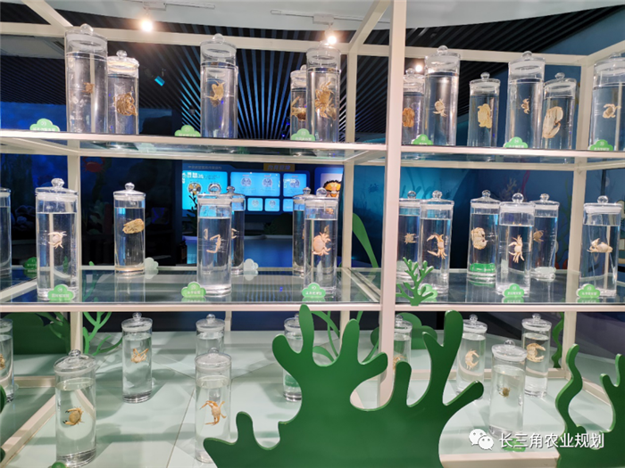 9月1日，中農(nóng)富通團隊開啟了高淳區(qū)域內(nèi)現(xiàn)代農(nóng)業(yè)示范園的調(diào)研工作，此次高淳區(qū)農(nóng)業(yè)園區(qū)調(diào)研由中農(nóng)富通長三角農(nóng)業(yè)規(guī)劃科學(xué)研究所所長薛欣艷與中國農(nóng)業(yè)大學(xué)規(guī)劃研究所園區(qū)規(guī)劃部分管總工趙嬋璞帶隊。(圖5)