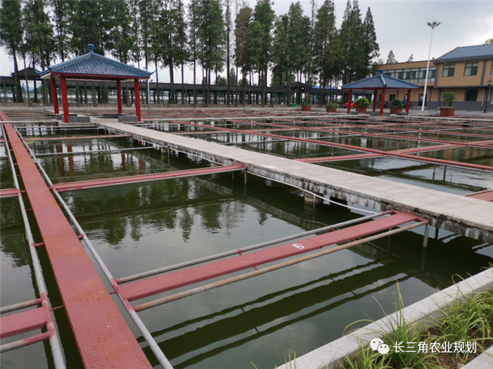 9月1日，中農(nóng)富通團隊開啟了高淳區(qū)域內(nèi)現(xiàn)代農(nóng)業(yè)示范園的調(diào)研工作，此次高淳區(qū)農(nóng)業(yè)園區(qū)調(diào)研由中農(nóng)富通長三角農(nóng)業(yè)規(guī)劃科學(xué)研究所所長薛欣艷與中國農(nóng)業(yè)大學(xué)規(guī)劃研究所園區(qū)規(guī)劃部分管總工趙嬋璞帶隊。(圖7)