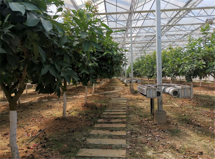 9月3日，中農(nóng)富通調(diào)研組兵分兩路對南京高淳區(qū)武家嘴現(xiàn)代農(nóng)業(yè)產(chǎn)業(yè)示范園區(qū)和棲霞區(qū)龍?zhí)冬F(xiàn)代農(nóng)業(yè)產(chǎn)業(yè)示范園區(qū)的調(diào)研工作。(圖5)