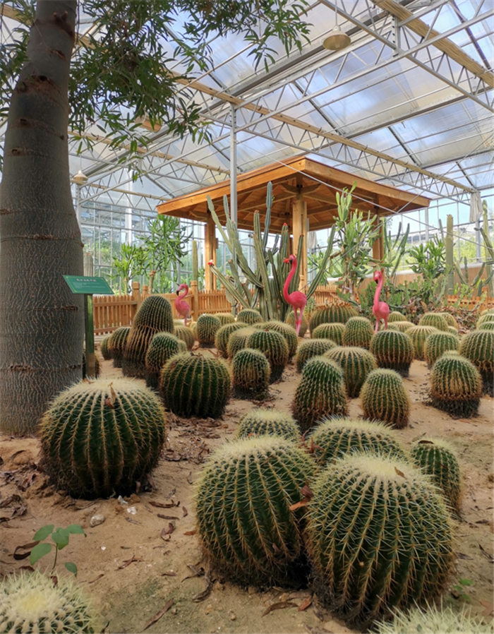 9月3日，中農(nóng)富通調(diào)研組兵分兩路對南京高淳區(qū)武家嘴現(xiàn)代農(nóng)業(yè)產(chǎn)業(yè)示范園區(qū)和棲霞區(qū)龍?zhí)冬F(xiàn)代農(nóng)業(yè)產(chǎn)業(yè)示范園區(qū)的調(diào)研工作。(圖11)