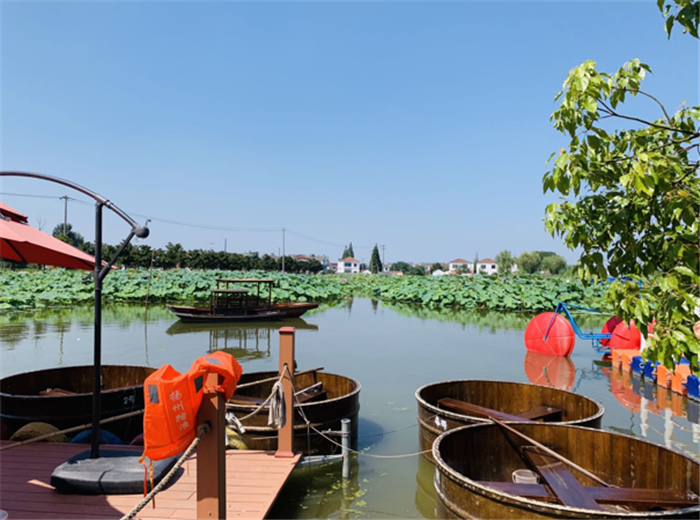 9月3日，中農(nóng)富通調(diào)研組兵分兩路對南京高淳區(qū)武家嘴現(xiàn)代農(nóng)業(yè)產(chǎn)業(yè)示范園區(qū)和棲霞區(qū)龍?zhí)冬F(xiàn)代農(nóng)業(yè)產(chǎn)業(yè)示范園區(qū)的調(diào)研工作。(圖24)