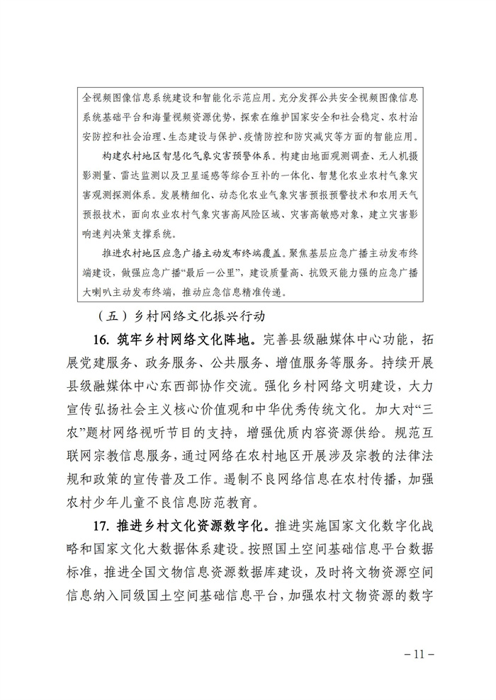 數(shù)字鄉(xiāng)村發(fā)展行動(dòng)計(jì)劃（2022-2025年）_10.jpg