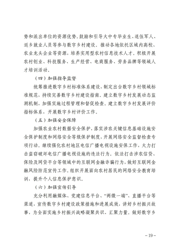 數(shù)字鄉(xiāng)村發(fā)展行動(dòng)計(jì)劃（2022-2025年）_18.jpg