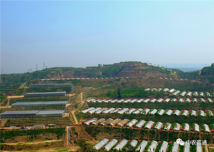 重磅！歷史性的一刻！我國(guó)832個(gè)國(guó)家級(jí)貧困縣全部脫貧摘帽(圖4)