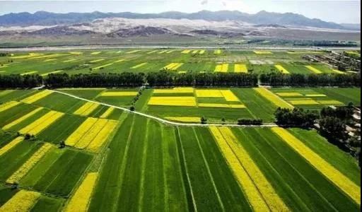 最高獎(jiǎng)補(bǔ)8000萬(wàn)！建設(shè)一批鄉(xiāng)村振興集成創(chuàng)新示范縣(圖6)